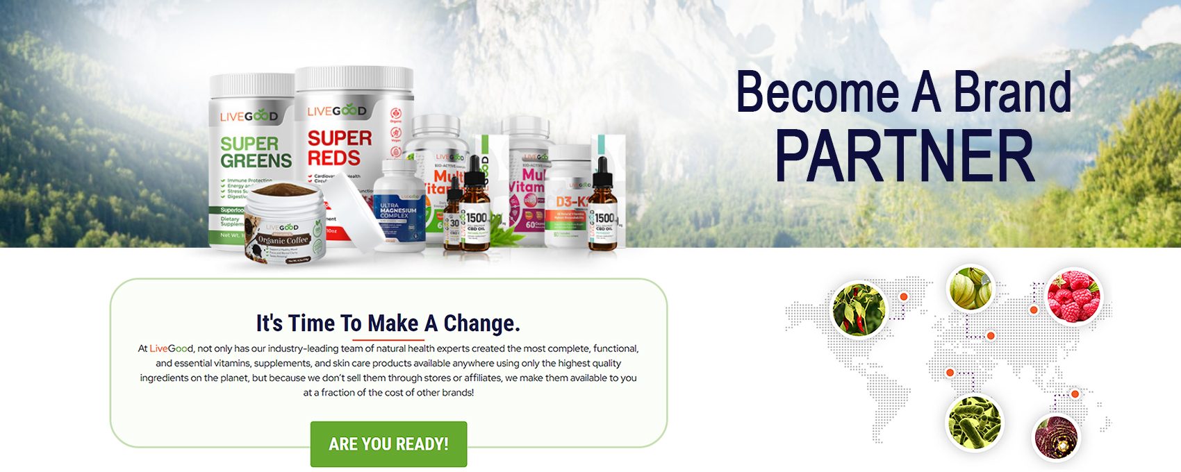 Become a partner